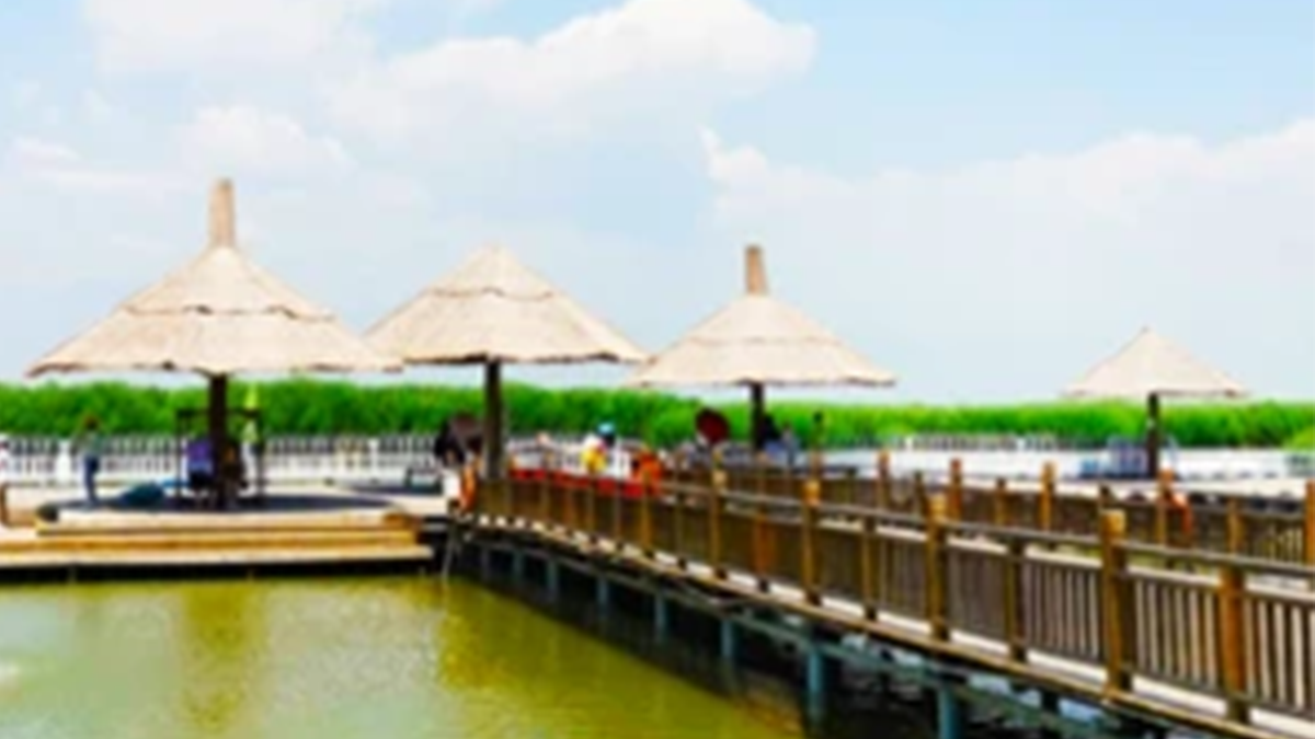 小包团与定制游：宁夏旅行社服务对比