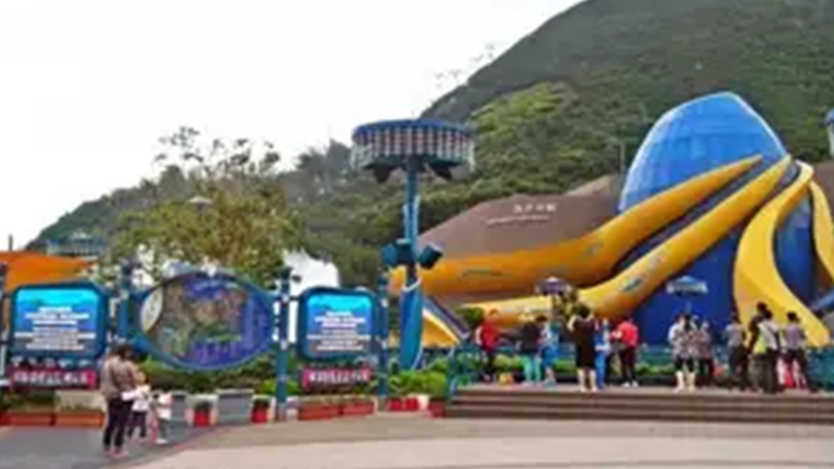 额济纳胡杨林旅游避坑：如何甄别正规地接社