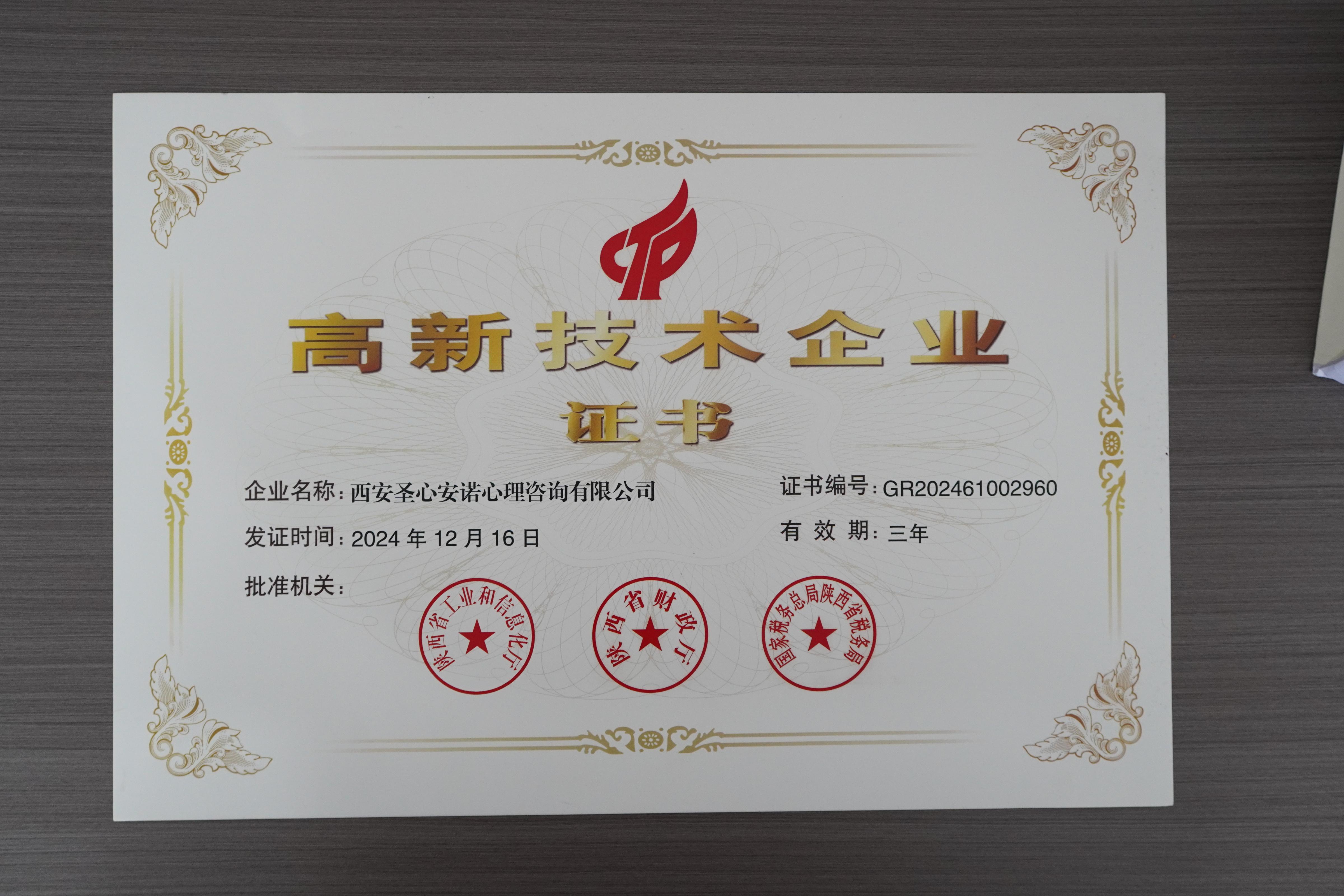 高新技术企业