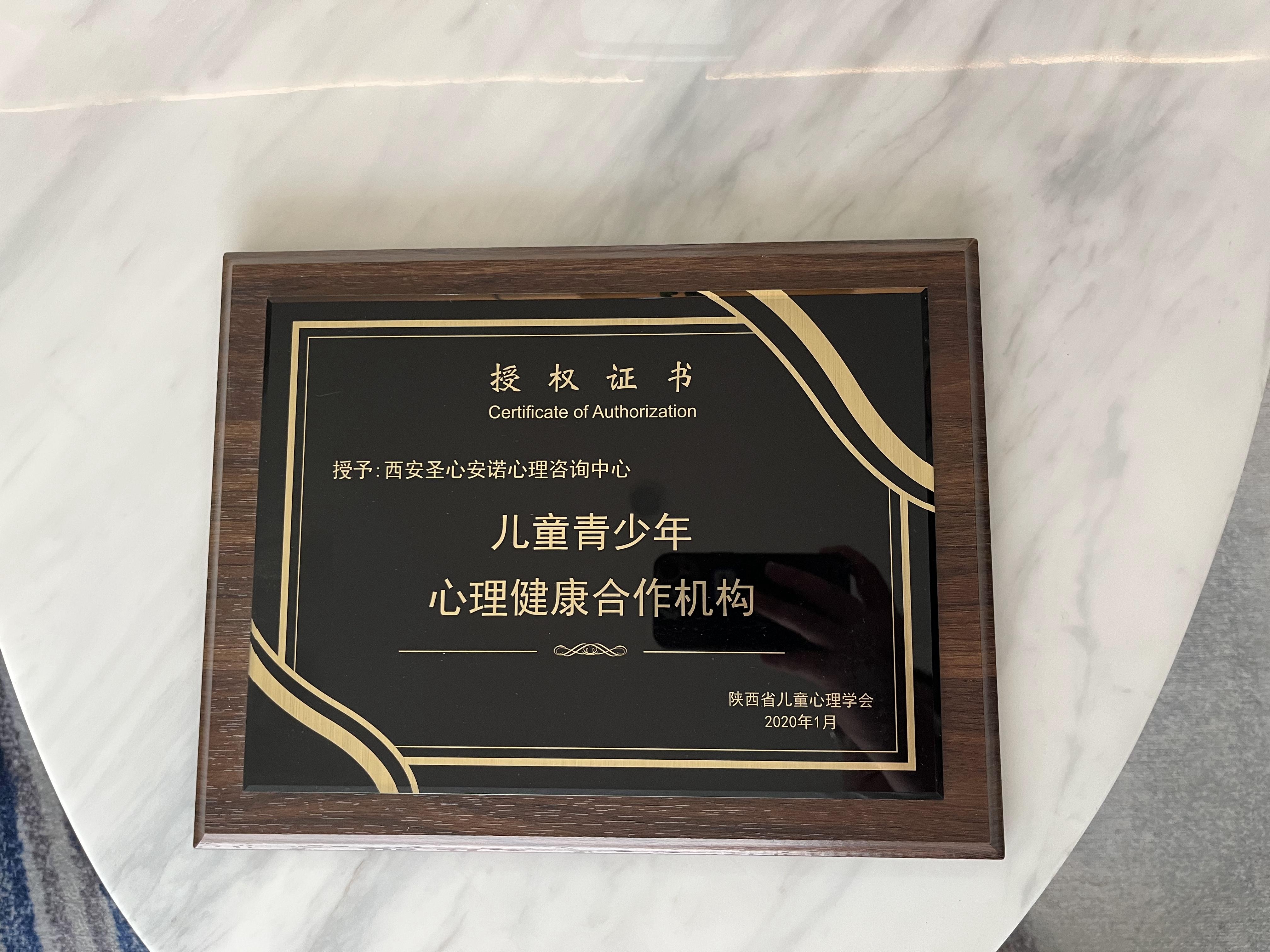 儿童青少年心理健康合作机构