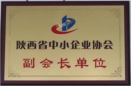 陕西省中小企业协会副会长单位