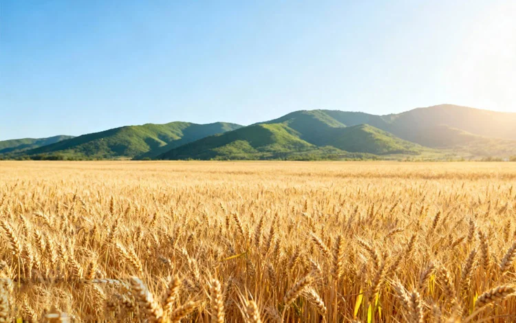 国企组织管控效能提升：西安易知行管理咨询七大行业标杆实践