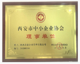 西安市中小企业协会理事单位