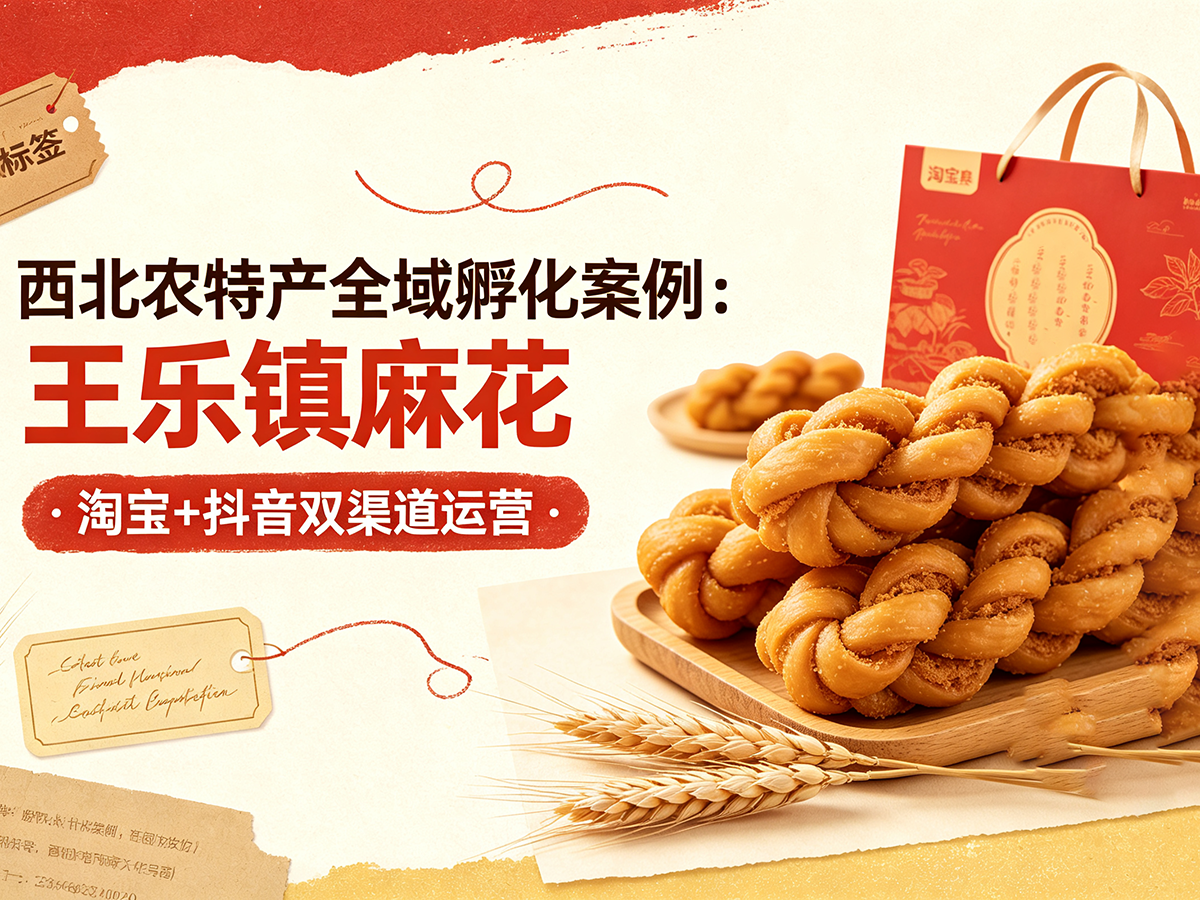 西北农特产全域孵化案例：王乐镇麻花（淘宝+抖音双渠道运营）