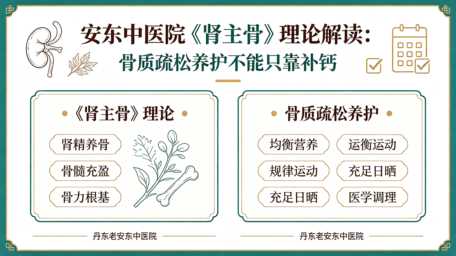 安东中医院《肾主骨》理论解读：骨质疏松养护不能只靠补钙