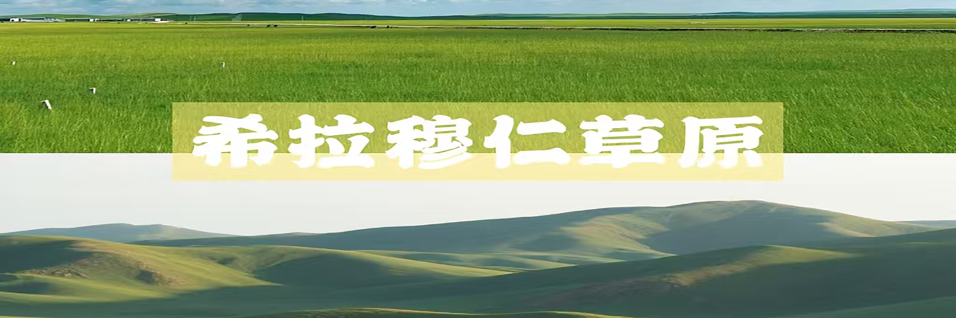 草原