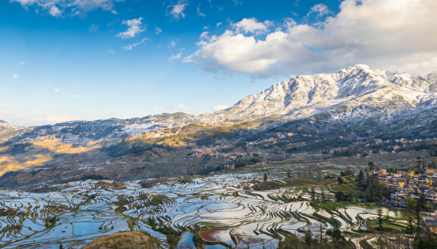 云南归莱国际旅行社-旅居康养定制服务客户案例
